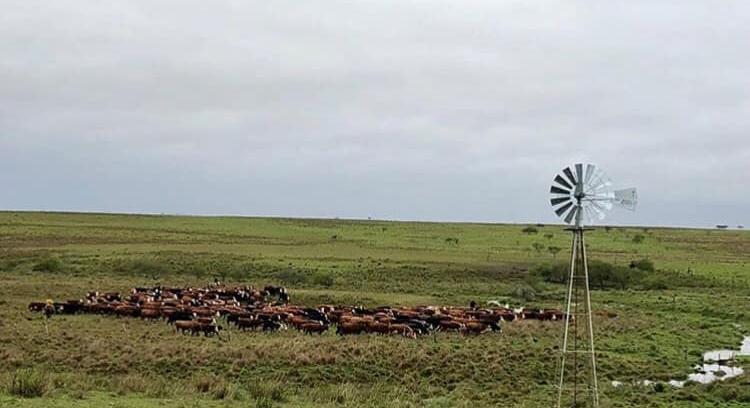 REAL ESTATE BUSINESS OPPORTUNITY IN URUGUAY