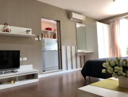 Condo For Rent Near CMU