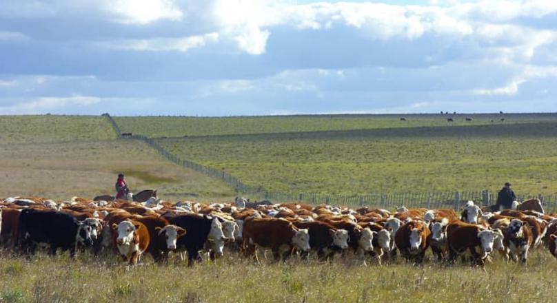 REAL ESTATE BUSINESS OPPORTUNITY IN URUGUAY