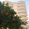 2 bedrooms apartment which is ready to move in,buy today, start to live in tomorrow,in Mahmutlar/Alanya/Turkey