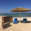 For rent sea view - apartment 1m to the beach  