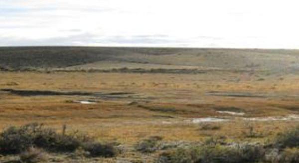 ATENCIÓN INVERSORES – U$S 40 / HA