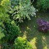 Distinct villa, suitable for the center: medical/educational/entertainment