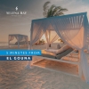 Future Real Estate For ( Sale ) in Selena Bay Resort