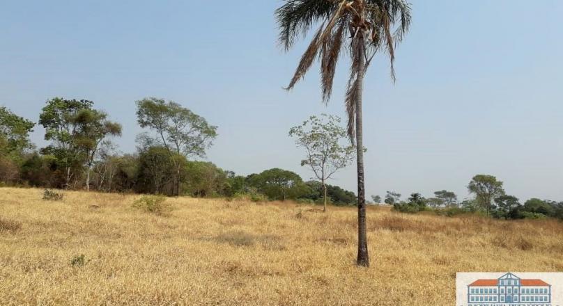 sale of four plots of land near Pirenópolis