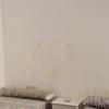 Apartment  available for sale 