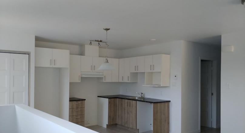 Grand logement style condo nouvelle construction