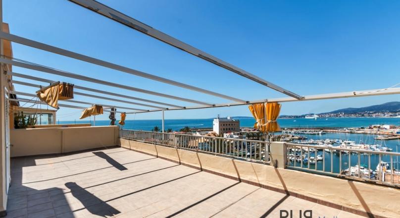 Location. Location. Location. The view from the terrace. The paint is off. The renovation can start.