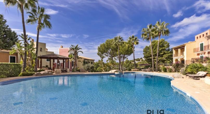 Small plant. Large penthouse - apartment. A lot of privacy. Southwest exposure. Sea views.