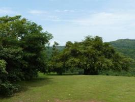 BEAUTIFUL FINCA FOR SALE WITH EXCELLENT VIEW!