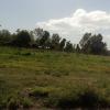 HOUSE FOR SALE CHAÑAR B ° ASPA