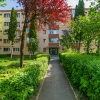 Two-room apartment, embraced by green, vantage, Brasov