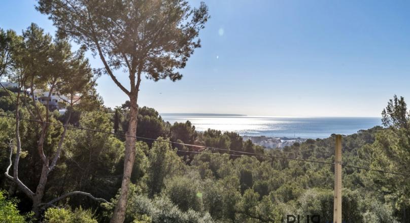 Above Puerto Portals. Costa den Blanes. Villa on a flat plot. With sea view.
