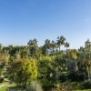 Palmanova. Apartment. With ocean view. Fully renovated. And only a few meters from the sea. 