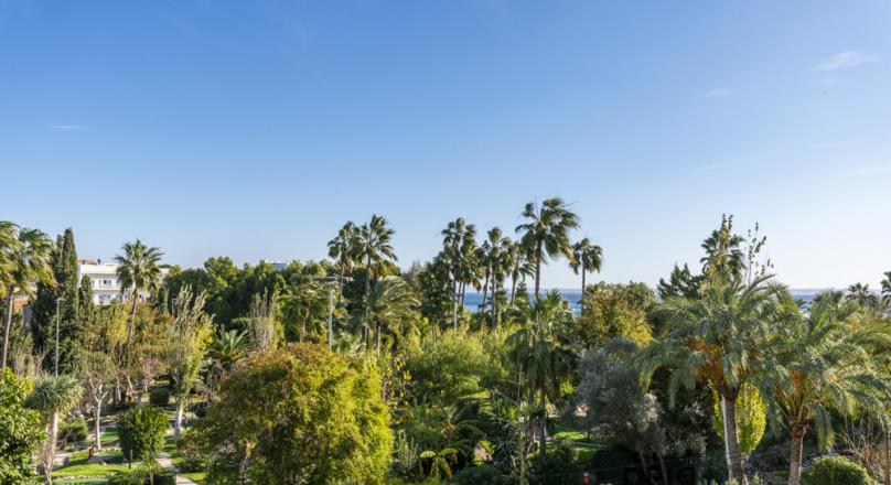 Palmanova. Apartment. With ocean view. Fully renovated. And only a few meters from the sea. 
