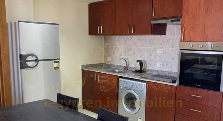 Luxury apartments full furnished sea view