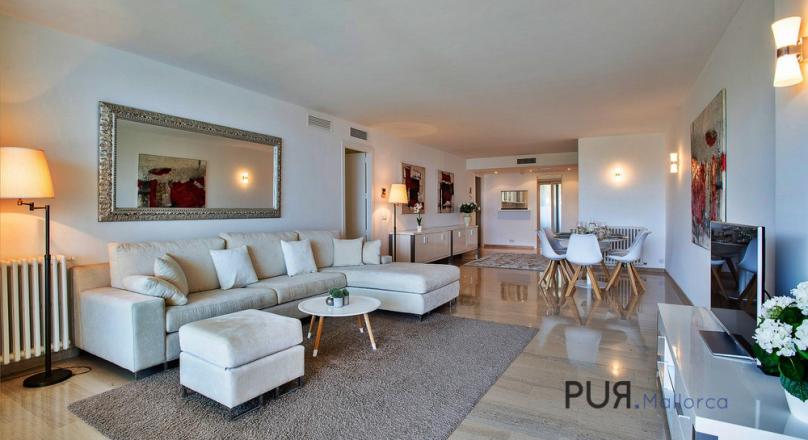 Sol Mallorca. An apartment. A plant. A word. Sophisticated.