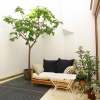 n the middle of the old town. A few minutes to the beach. Luxuriously renovated.