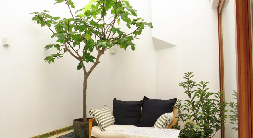 n the middle of the old town. A few minutes to the beach. Luxuriously renovated.