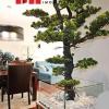 SALE OF 3 BEDROOM APARTMENT, PÓVOA DE VARZIM