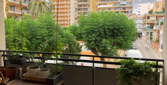 Apartment on Mallorca Spain