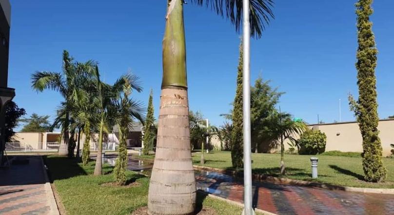 Big mansion for sale