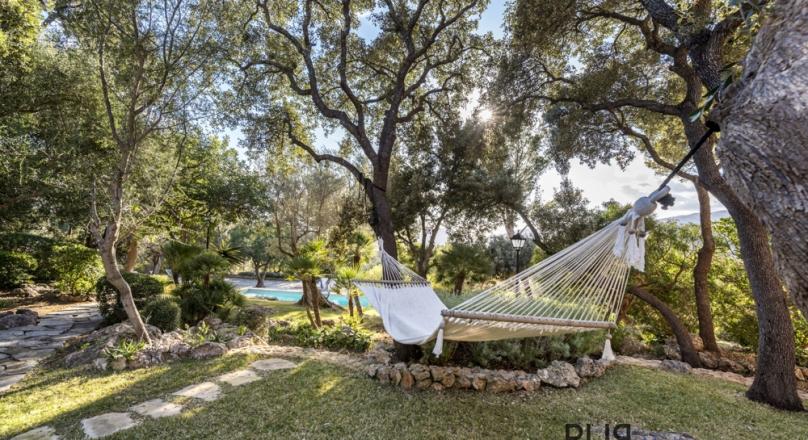 Mallorca PUR. A property. In Establiments. Something special. No. Much more.