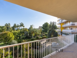 Palmanova. Apartment. With ocean view. Fully renovated. And only a few meters from the sea. 