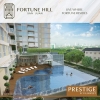 FORTUNE HILL SAN JUAN