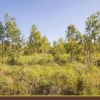 It's time to own land and build a home.