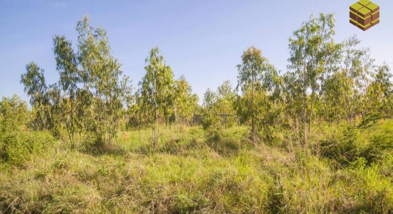 It's time to own land and build a home.