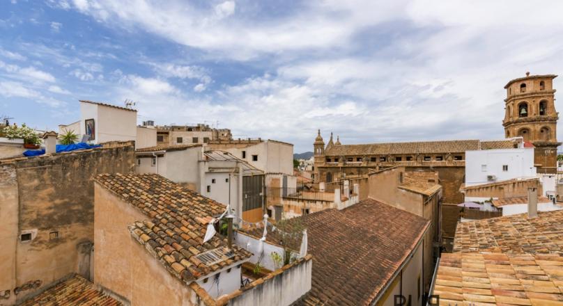 Palma. Old Town. In the middle. And not just there. Large apartment. Completely renovated.