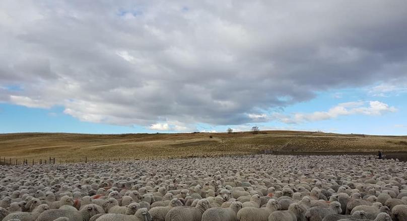 REAL ESTATE BUSINESS OPPORTUNITY IN URUGUAY