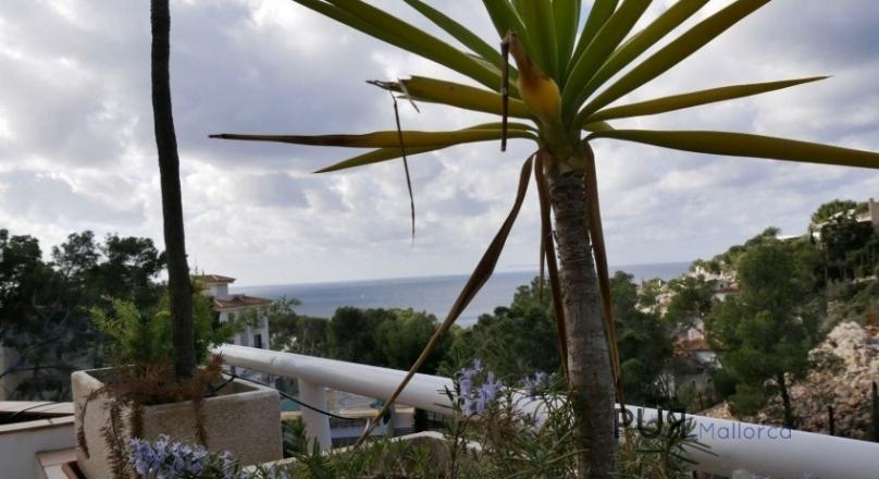 In Cala Llamp. A villa with lots of space and sea views. And especially affordable.