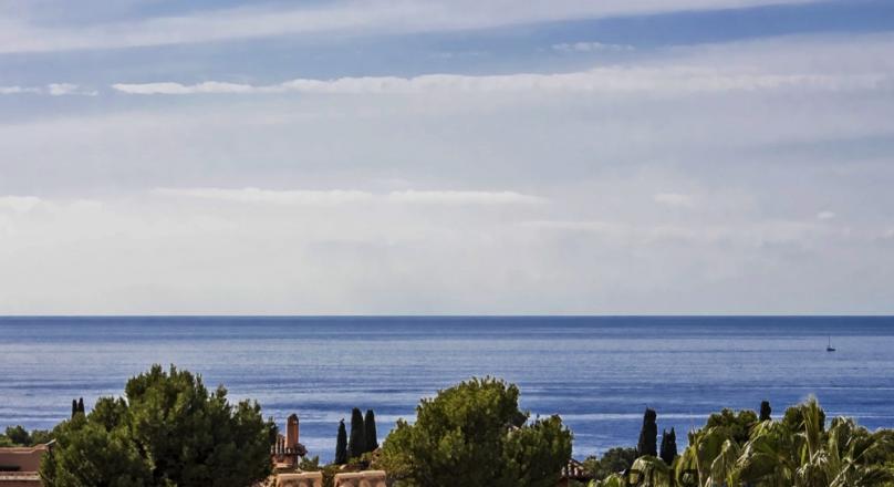 Small plant. Large penthouse - apartment. A lot of privacy. Southwest exposure. Sea views.