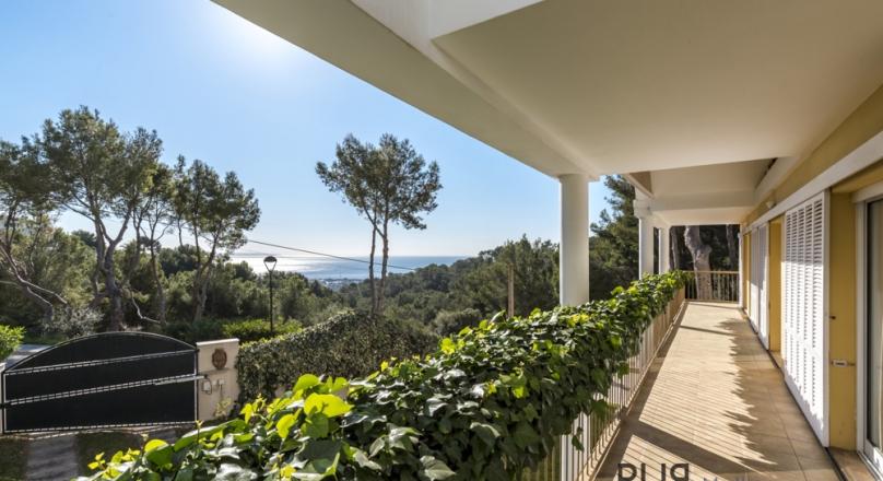 Above Puerto Portals. Costa den Blanes. Villa on a flat plot. With sea view.