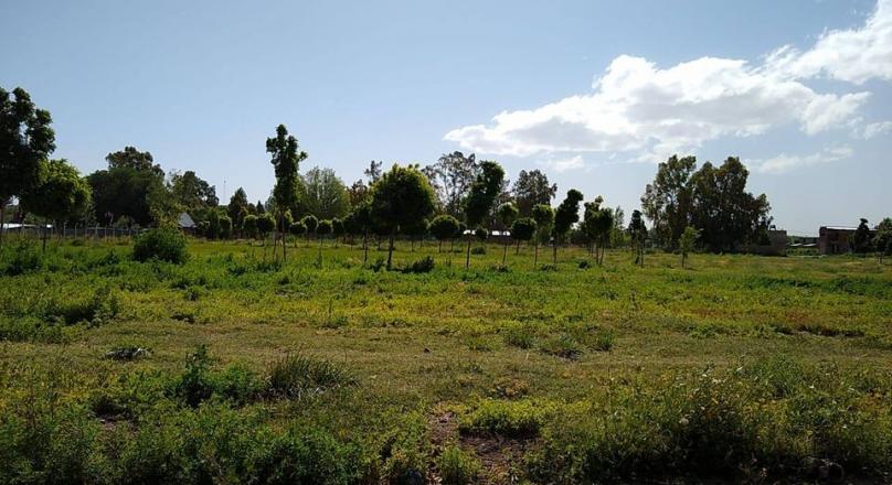 HOUSE FOR SALE CHAÑAR B ° ASPA