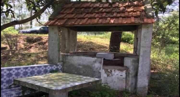 4 Hectares farmhouse with pool house