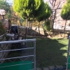 145 m2 - 3+1 - garden duplex