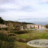 Farm For Sale