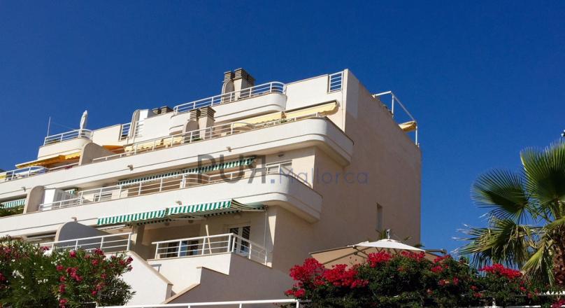 Camp de Mar. The bay. Ocean. The air. Mallorca.