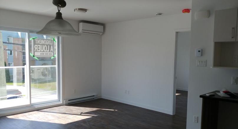 Large new condo style housing