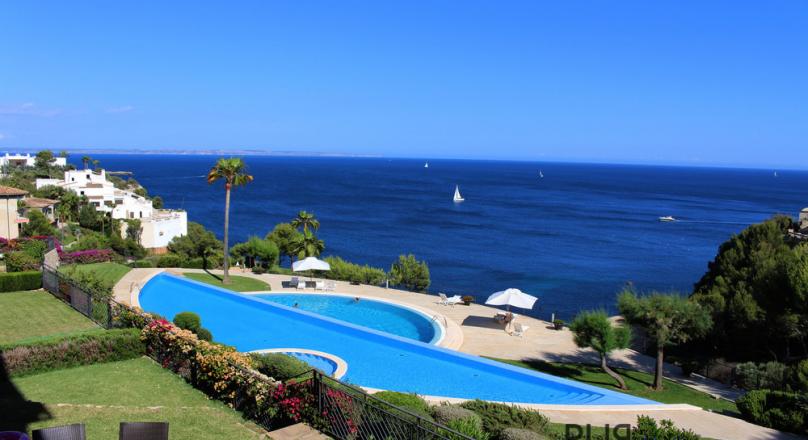 Sol Mallorca. An apartment. A plant. A word. Sophisticated.